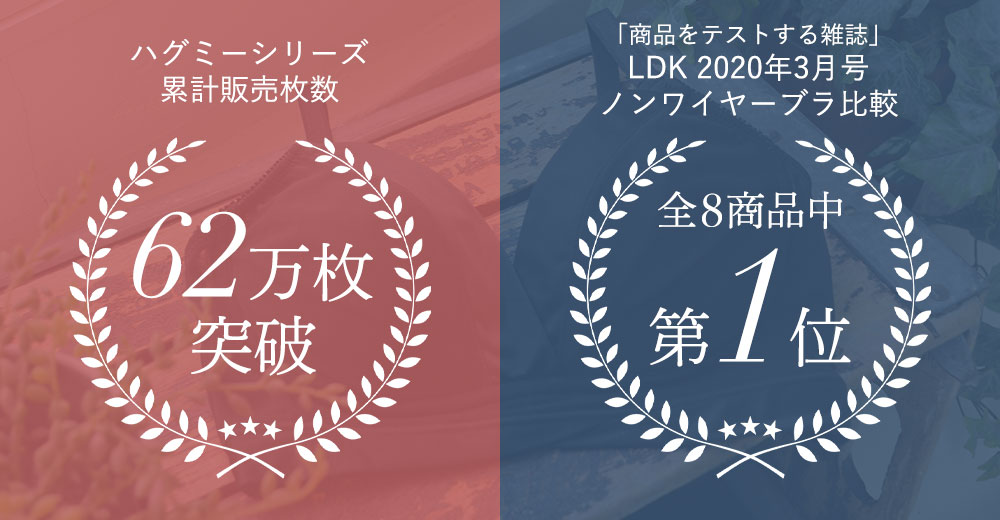 商品をテストする雑誌「LDK」2020年3月号 ノンワイヤー 第1位