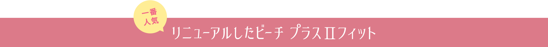 一番人気 リニューアルしたビーチ プラス2フィット