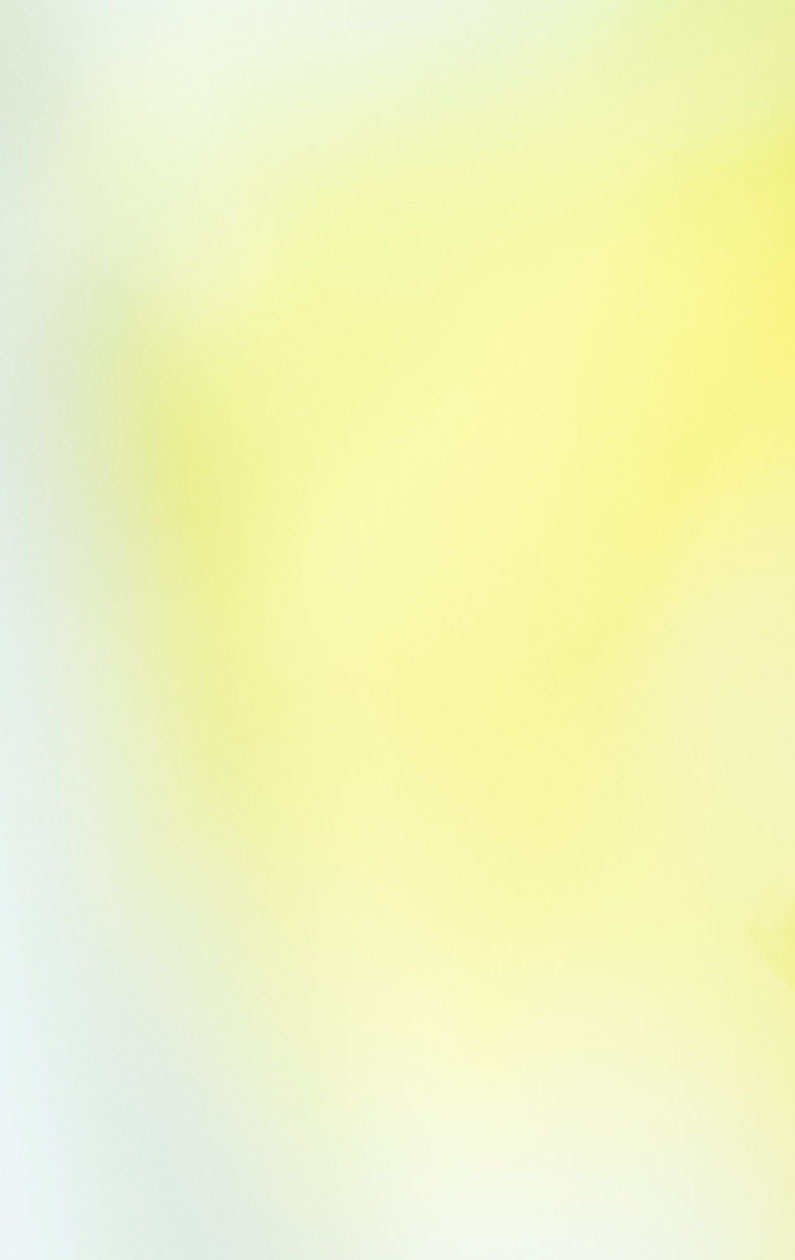 パテッドヌーブラ トワイライト