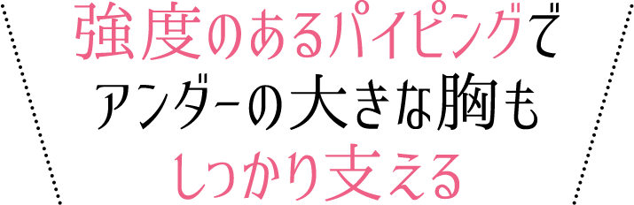 強度のあるパイピングでアンダーの大きな胸もしっかり支える