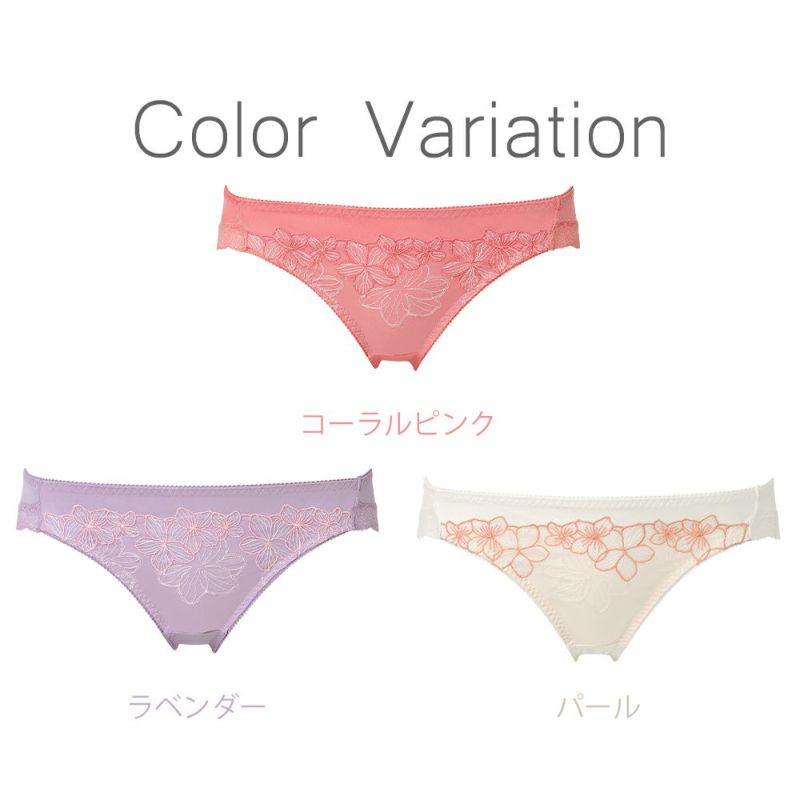 カラーバリエーション