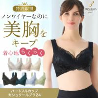 ハートフルカップカシュクールブラ24