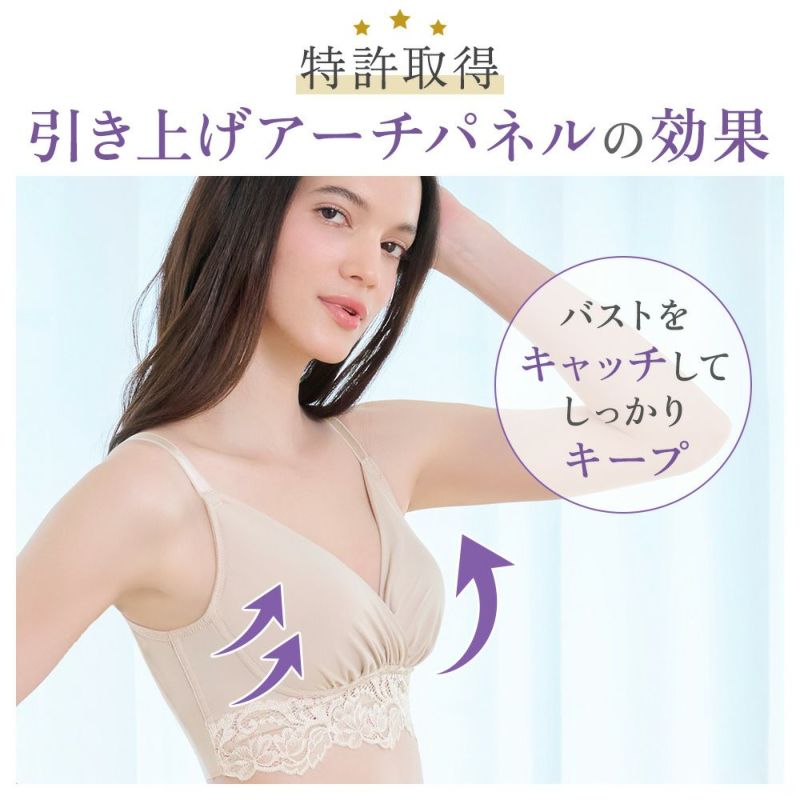 特許取得の引き上げアーチパネル